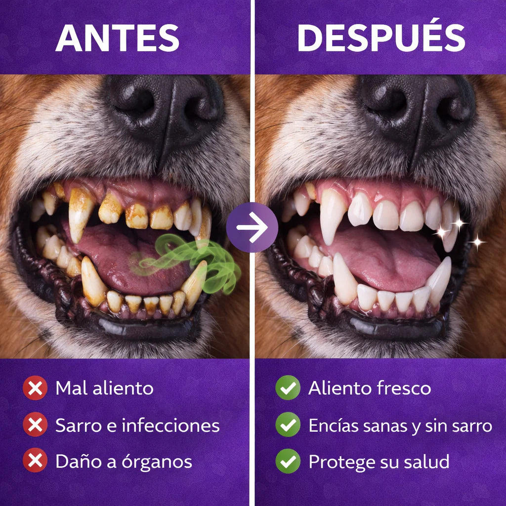 PetFresh™ - El spray que le devuelve el aliento  fresco a tu mascota sin cepillarle │ OFERTA 2X1